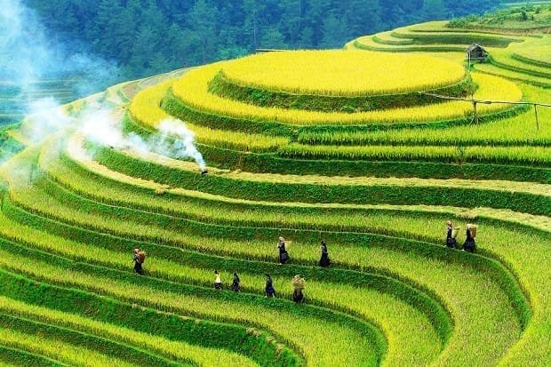 Beyond the Terraces: The Soul of a Mu Cang Chai Ethnic Village E-bike Tour